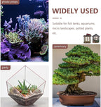 VOSAREA 4PCS Fairy Garden Windows and Door Set - Miniature Resin Gnome House Accessories for Outdoor Decor - for Trees Yards and Micro Landscapes
