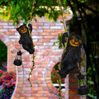 Solar Garden Decor Outdoor Statues-Resin Raccoon Climbing Vine & Squirrel Figurine with LED Light, Waterproof Hanging Animal Figurine with Hook for Patio, Yard, Home Decor Gift (Raccoon)