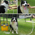 Portable Pressure Washer | 5 Gal Tank | 255 PSI | 45-Min Runtime | Versatile for Car Wash, Dog Bath, Home & Patio, & Portable Camping Shower | Durable Design for RV, Overland & Beach Adventures
