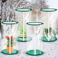 Nuanchu 4 Pieces Mini Greenhouse 19.7 x 10.2 Inch Portable Plant Flowers Mini Cover PVC Clear Greenhouse for Indoor Outdoor Gardening