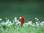 Birdseed Cylinders with Hole - Bird Seed for Outside Wild Birds (Small Cylinder, Neat Beak 2pc)