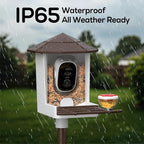wansview Bird Feeder with Camera-Smart Bird Feeders for Outdoors Solar Powered, Birdhouse with Cam & Instant Alert, 2K Live Video, AI Identify Species, Ideal Gift for Tech Lovers, F1, Brown, 2.4G WiFi