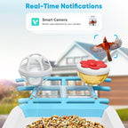 Smart Bird Feeder with Camera, Bird Feeders for Outdoors with Solar Panel, 2K HD Live View, AI Identify, Auto Capture, Instant Notifications, 2.4GHz, IP65 Waterproof, Ideal Gifts for BirdLovers, Blue