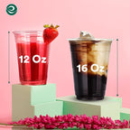 ECO SOUL 100% Compostable, Disposable Party Cups | Eco-friendly Party Cups | (500 Count, 16 oz Cold Cups)