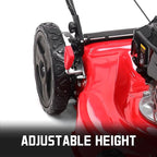 PowerSmart 21 in. Gas Lawn Mower with 125cc Briggs and Stratton E300 Engine, 2-in-1 Push Mower with Mulching & Side-Discharge