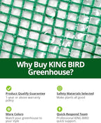 KING BIRD Premium Greenhouse for Outdoors, 84 x 56 x 77 Upgraded PE Cover & Steel Frame Walk in Hot House, w/ Zippered Screen Windows Mesh Door, 3 Tiers 20 Shelves for Outside Garden, Green