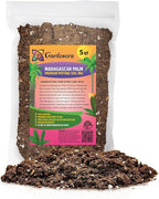 Premium Madagascar Palm Plant Soil Mix by Gardenera - Stimulate Growth and Elevate Natural Beauty with Nourishing Formula - 5 Quart