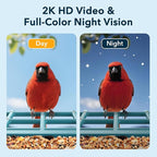 PeckCam® Bird Feeder with Camera Solar Powered, AI Identify & Auto Capture, 2K HD Live Video Smart Bird Feeder Camera Instant Notifications in Backyard, Gift for Bird Lovers