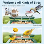 PeckCam® Bird Feeder with Camera Solar Powered, AI Identify & Auto Capture, 2K HD Live Video Smart Bird Feeder Camera Instant Notifications in Backyard, Gift for Bird Lovers