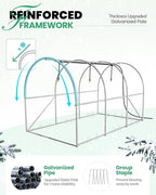 KING BIRD Premium 10x6.6x6.6FT Greenhouse for Outdoors, Large Walk-in Heavy Duty Galvanized Steel Frame, Mesh Door Screen Window Tunnel Hoop Garden Plant Winter Hot House, with Watering Kits, Green