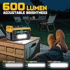 550W Power Station Compatible with Dewalt: LIVOWALNY Portable Generator DC 20V to AC 110-120V, Pure Sine Wave Power Inverter Battery Adapter Phone Charger 2 USB-A & 1 Type-C & 2 AC Outlet (Tool Only)