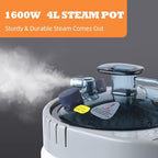 Smartmak Full Size Steam Sauna, One or Two Person Whole Body Large Space Home Spa, 4L Steamer Included- BlackGrey
