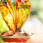 2 Packs Hummingbird Feeder for Outdoors Hanging Ant and Bee Proof, 34OZ 32OZ Hand Blown Glass Hummingbird Feeders for Outside (Yellow & Blue)