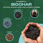 Rosy Soil Indoor Potting Soil for House Plants - Organic Potting Soil Mix for Indoor Plants - Enriched w/Root-Boosting Biochar for Foliage Plants, Flowers, Herbs - Peat Free, Less Prone to Gnats - 4qt