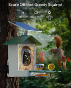 COOAU 5MP Smart Bird Feeder with Camera, Faster Solar Powered Charging, Outdoor Birdhouse Cam with Precise AI Birds Recognition, Live Video Watching and Notifications, Ideal Gift for Bird Lovers,Green