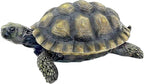 Bellaa Turtle Garden Sculptures Statues Home Decor Tortoise Realistic Cute Large Animal Gilbert Zen Garden Patio Lawn Yard Art Tanya Talia Galapagos Todd Outdoor Figurines 9 inch