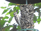 JCs Wildlife All Season Blend Premium Bird Seed Small Cylinder with Hole, 1.75 lb (4 Cylinder)