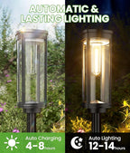 Solar Pathway Lights Outdoor, 4 Pack Bright Solar Powered Garden Lights Waterproof IP65, Long Lasting Outdoor Light for Yard Garden Walkway Landscape Lawn Patio