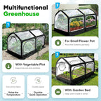 Quictent Premium Greenhouse with Screen Window, Portable Fast-up Plant Greenhouses for Outdoors with Heavy Duty Pop-up Fiberglass Frame Durable Waterproof Cover, 98.4x49.2x52.8 Inch, Black