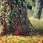 Red Fairy Garden Door,Tree Fairy Doors Decoration for Trees Outdoor and Tree Trunk,DIY Mini Garden Lawn Ornament Decor,Fairytale Tiny House Doors Mini Gift,Buildings and Structures Garden Miniatures