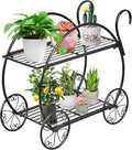 S AFSTAR Metal Plant Stand, Two Tiered Garden Cart Shelf for Indoor Outdoor Home Garden Patio, Parisian Style Flower Pot Holder, Stable and Durable