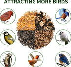 Solution4Patio Green Outdoors Hanging Bird Feeder, All Metal, Double Suet Cake and Large Capacity, Hopper Tray & Weatherproof for Finch, Cardinal & Chickadee #B101E01-US Squirrel-Proof