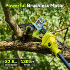 Electric Pole Saws for Tree Trimming, 6" & 8" Mini Chainsaw Cordless with Extension Pole & 2x4Ah Batteries, 20V Pole Chain Saw Battery Powered, Max Reach 16 Ft, Tree Trimmer Limb Branch Cutter Pruner