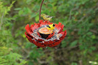 Desert Steel Coral Sunset Peony Hanging Feeder - (Orange - 9”W x 11.5”H) - Loose Seed Metal Birdfeeder