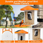 DCT Smart Bird Feeder with Camera - 1080P HD Camera Feeders for Outside, AI Bird Identify, Squirrel-Proof, Ideal Gifts for Lovers & Elderly, Wireless WiFi