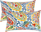 LVTXIII Set of 2 Patio Lumbar Pillows, 12”x20” Fade Resistant Outdoor Lumbar Pillow with Inners, Fluffy Decorative Garden Lumbar Cushions for Home Patio Coach Sofa Use, Paisley Multi
