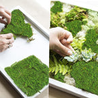 2 Pcs Preserved Sheet Moss for Potted Plants 2 sq.ft. Dried Natural Preserved Moss Mat Green Moss Sheets for Planters Crafts Woodland Decor Garden Party Decorations Wall Art DIY Project Green