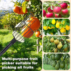 Fruit Picker Pole with Basket, 10.7FT (130 Inch) Adjustable Fruits Picker Tool with Stainless Steel Handle Fruit Grabber Reach Tool for Apple Mango Pear Avocados Fruit Picking, Black