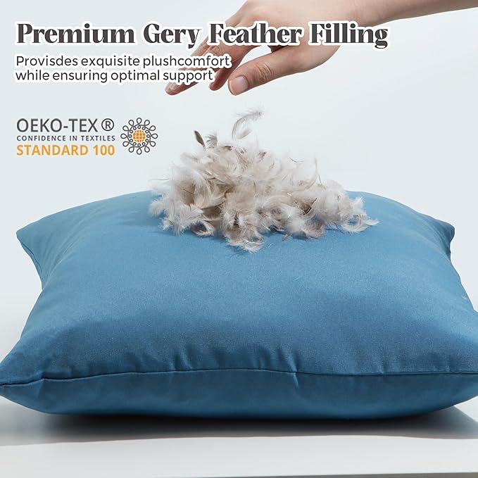 WOLKI Waterproof Outdoor Pillows 20x20 Feather and Down Filled Throw Pillow for Patio Furniture, Outside Decorative Pillow Set of 2,Blue