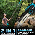 2-in-1 Cordless 8 Inch Pole Saw for Tree Trimming, 4.2M Extended Reach Electric Pole Saw with 180° Adjustable Head, Brushless Motor, 2×4.0Ah High-Capacity Batteries & Extra Chain