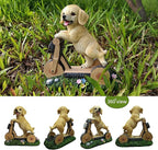 Solar Garden Statue LED Outdoor Garden Decor Funny Animal Sculpture for Yard Patio Lawn Weatherproof Resin Birthday Art Gift（Dog on Bicycle）