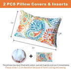 Outdoor Lumbar Pillows Waterproof Set of 2 Decorative Pillows with Inserts 12×20 Inch Outdoor Pillow for Patio Furniture (Paisley Print)