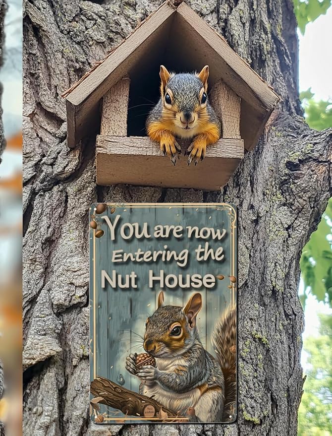 Funny Squirrels Signs Welcome To The Nut House Squirrels Stuff For Indoor Outdoor Decor 12x8 Inches You Are Now Entering The Nut House