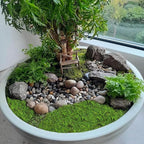 2 Pcs Preserved Sheet Moss for Potted Plants 2 sq.ft. Dried Natural Preserved Moss Mat Green Moss Sheets for Planters Crafts Woodland Decor Garden Party Decorations Wall Art DIY Project Green