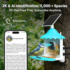 BirdsView Solar Powered Bird Feeder with 2K Ai Camera, Hummingbird Feeder, Bird House Camera, Live Alerts & Species Recognition – Gift for Bird Lovers