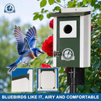 Bird Houses for Outside, Dark Green Bird House, Bluebird Houses for Outside, Garden Decoration Birdhouses for Outdoors, Bluebird Finch Swallow Wren Chickadee