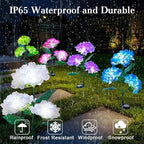 Aolyty Solar Garden Lights Outdoor, Solar Hydrangea Lights IP65 Waterproof LED Flowers Stake Lights 2 Pack for Garden Pathway Patio Backyard Landscape Decorative (Purple)