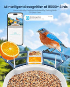 Bird Feeder with Camera, AI Identify Bird's Species Camera, Full HD Live Video Outdoor Adjustable Solar Smart Birds Feeder, Auto Capture Birds Videos & Notify, Ideal Present for Bird Lover