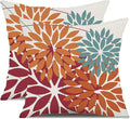 DFXSZ Outdoor Throw Pillow Covers 20x20 Inch Set of 2 Waterproof Spring Summer Geometric Elegant Burnt Orange Outdoor Pillow Covers for Patio Funiture Garden Couch 168D20