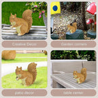 Garden Decoration Squirrel Statue - Adorable Wildlife Sculpture with Pinecone for Outdoor Patio, Lawn, or Garden Décor - Ideal for Nature Lovers
