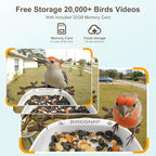 birdsnap® P33 - Bird Feeder with Camera Solar Powered, 2K Video Bird Camera Feeder Live with 32GB Card, AI Identify Feather Species, Auto Record in Backyard, for Birds Lover