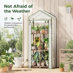Bamworld Mini Greenhouse for Outdoor 3-Tierd Reusable Portable Warm House with PE Cover Compact Garden and Backyards Portable Rack with Sturdy Eucalyptus Frame Winter-Proof for Plant Protection