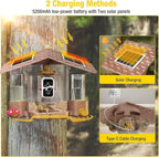 Aivituvin Smart Bird Feeder Camera with AI Identification, Solar Powered, Wireless Hummingbird Feeder with Food, Water, Honey, Present for Bird Lovers (Brown)