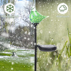Afirst Solar Outdoor Lights Decorative Hummingbird Garden Stake Handblown Glass Stakes Outdoors Waterproof for Garden Pathway Decoration 2 Packs
