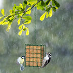 FLINTER Bird Feeder for Outdoors, Suet Feeder Hanging Bird Feeder, Hanging for Garden Yard Outside - Single Suet Cake Feeders fo Attracting Birds, Green