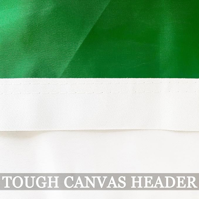 Double Sided Irish Flag 3x5 Outdoor Heavy Duty- 3Ply 240D 4 Rows Stitched- Ireland 3x5 Flag- UV Fade Resistant With Canvas Header & 2 Brass Grommets